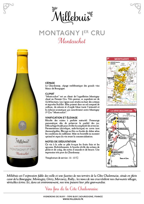 Millebuis Montagny Premier Cru Montcuchot 2022