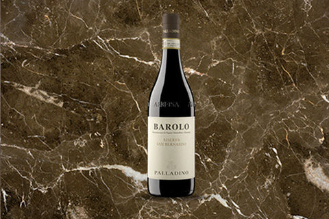 Palladino Barbera d'Alba Superiore 'Bricco della Olive' D.O.C. 2021