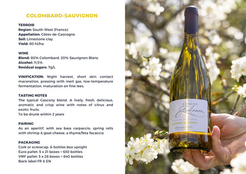 Domaine Guillaman Colombard-Sauvignon 2025 – Platinum Wines