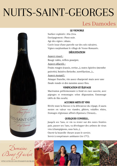 Domaine Bony Gachot Nuits Saint Georges 'Les Damodes' 2023