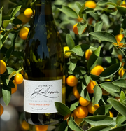 Palladino Barolo D.O.C.G. 2021